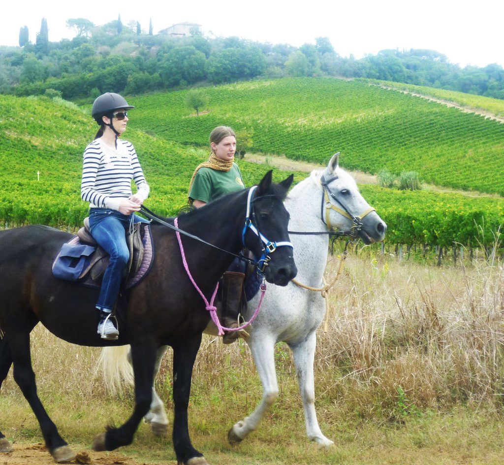 horseback wine tour florence