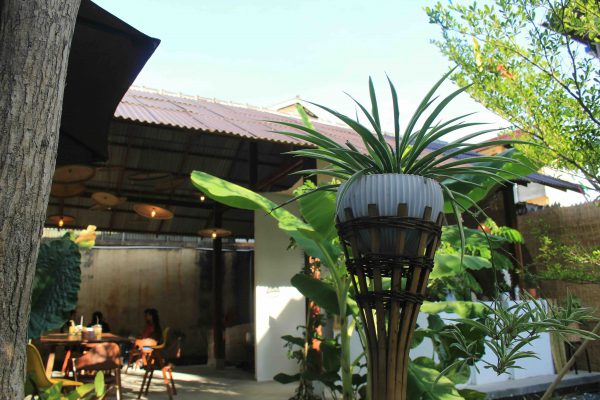 Best Co-Working Spots in Ubud for Food-Loving Digital Nomads